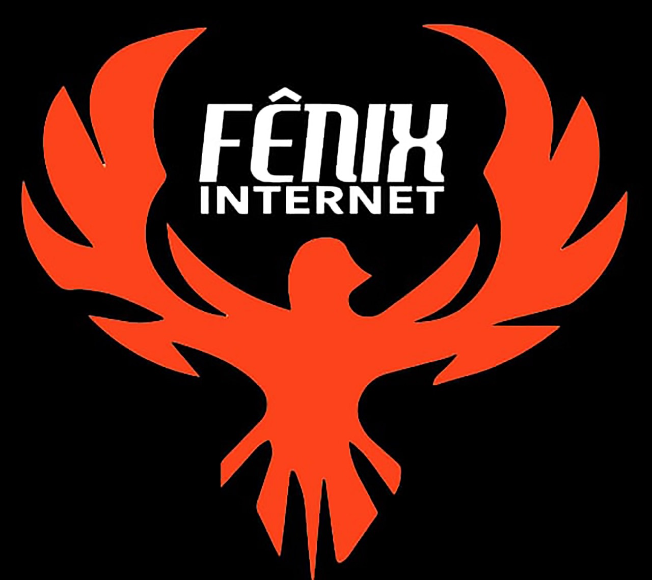 FENIX INTERNET